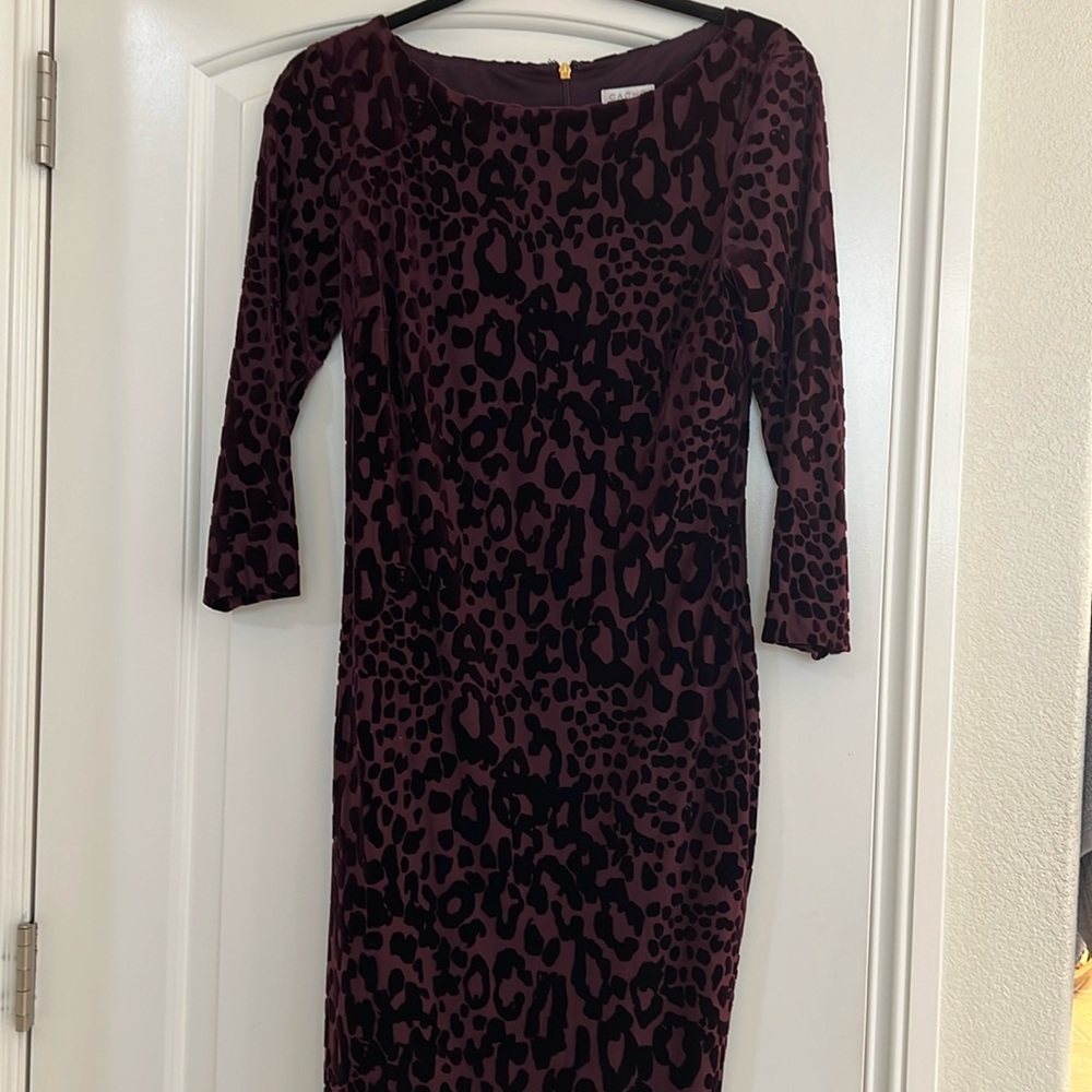 Beautiful Cache Dress